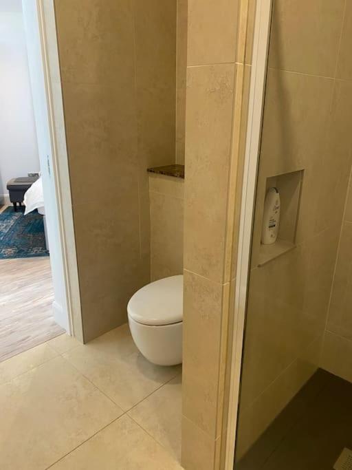 Beautiful Garden Apartment With Private Patio And Garden View Dublin Exterior foto