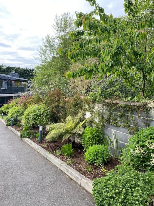 Beautiful Garden Apartment With Private Patio And Garden View Dublin Exterior foto
