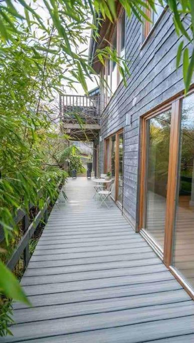 Beautiful Garden Apartment With Private Patio And Garden View Dublin Exterior foto
